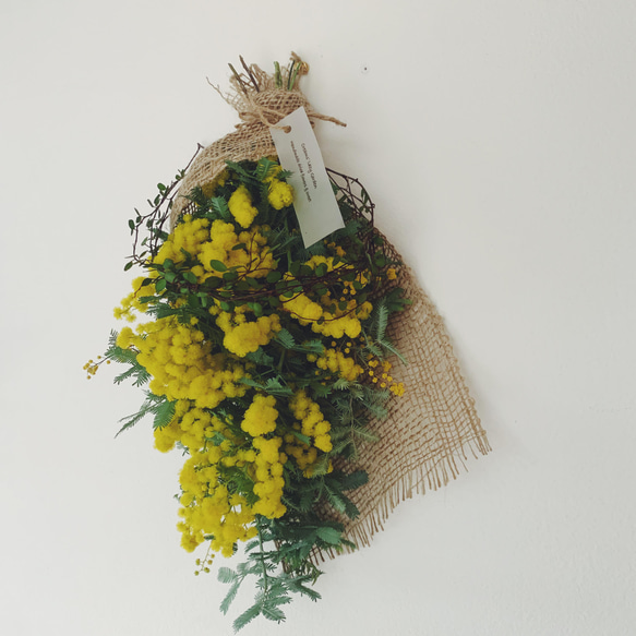 ドライミモザ（スワッグ40）とワイヤープランツリースC 3枚目の画像