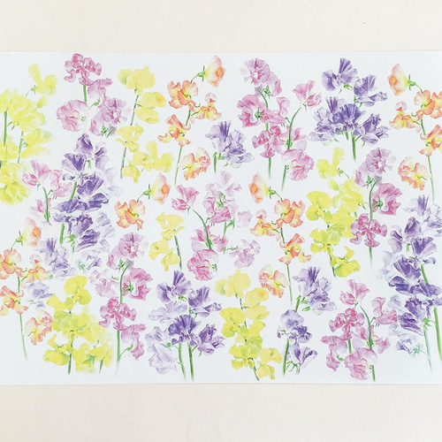 スイートピーのラッピングペーパー（デザインペーパー）10枚 包装紙