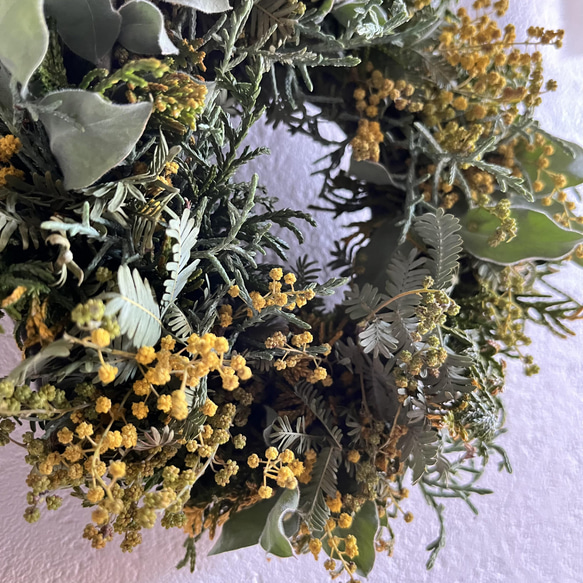 mimosa  wreathe  ①  〈natural〉 ミモザ 2022 5枚目の画像