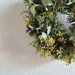 mimosa  wreathe  ①  〈natural〉 ミモザ 2022 3枚目の画像