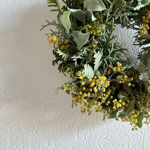 mimosa  wreathe  ①  〈natural〉 ミモザ 2022 3枚目の画像