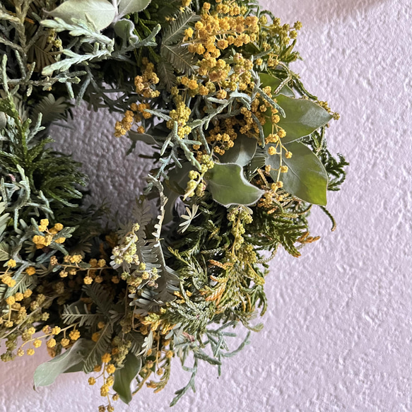 mimosa  wreathe  ①  〈natural〉 ミモザ 2022 2枚目の画像