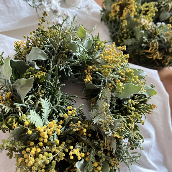 mimosa  wreathe  ①  〈natural〉 ミモザ 2022 7枚目の画像