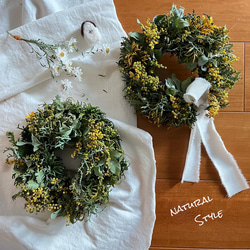 mimosa  wreathe  ①  〈natural〉 ミモザ 2022 6枚目の画像