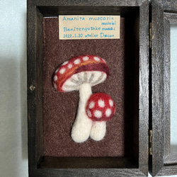 お値下げ)羊毛フェルト・ベニテングタケモドキ標本箱 羊毛フェルト