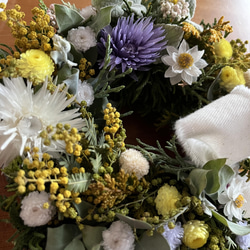 mimosa  wreathe  ④  〈カラフルSpring〉 ミモザ 2022 4枚目の画像