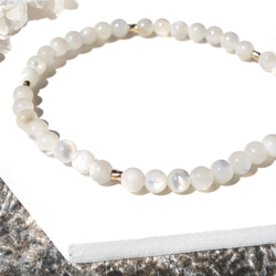 White Shell/柔らかい光沢が上品 ホワイトシェル White Shell/柔らかい光沢が上品 ホワイトシェル
