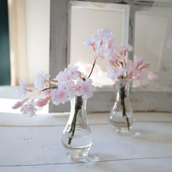 季節のアレンジ　しだれ桜の小枝　魔法の水　マジカルウォーター　インテリア　ギフト 1枚目の画像
