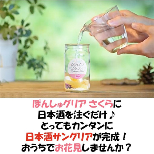 春限定】ぽんしゅグリア さくら 日本酒 春ボトル セット 純米 春限定】ぽんしゅグリア さくら 日本酒 春ボトル セット 純米