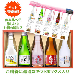 【春限定】日本酒 純米吟醸 春ボトル 入り 飲み比べセット 300ml×5本 小瓶 辛口 お酒 新潟 高野酒造 2枚目の画像