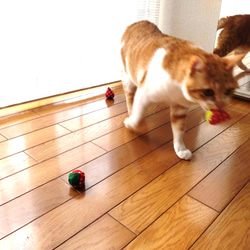 猫ほっぺ♡採れたていちご 5粒(*˘︶˘*).｡.:*猫ちゃんも喜ぶ鈴入おもちゃ　猫のおもちゃ　猫用ボール 8枚目の画像