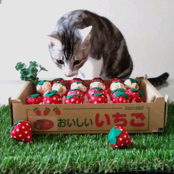 苺猫さま専用 他の方はご購入できません 猫ほっぺ♡採れたていちご 5粒(*˘︶˘*).｡.:*猫ちゃんも喜ぶ鈴入