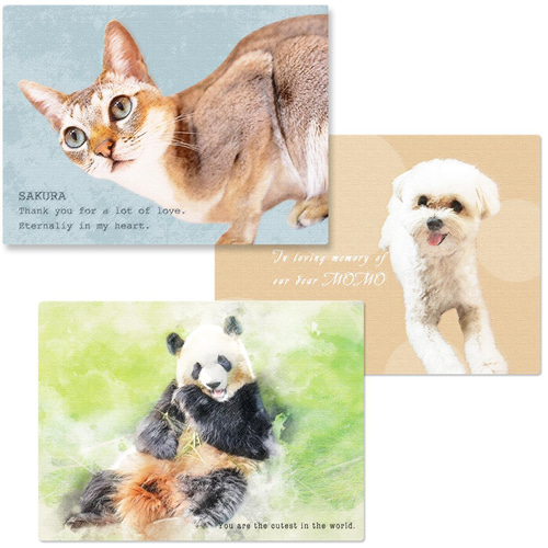うちの子キャンバスボード（いぬ ねこ 犬 猫 ネコ ペット うさぎ 