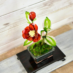 【創作盆栽】赤椿 深緑角鉢 2枚目の画像