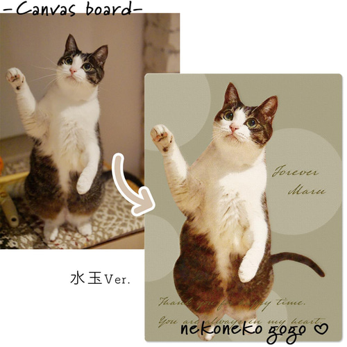 薬屋のひとりごと 神田明神 キャンバスアートボード 猫猫 壬氏 キャンバスボード 薬屋のひとりごと 神田明神 キャンバスアートボード 猫猫 壬氏