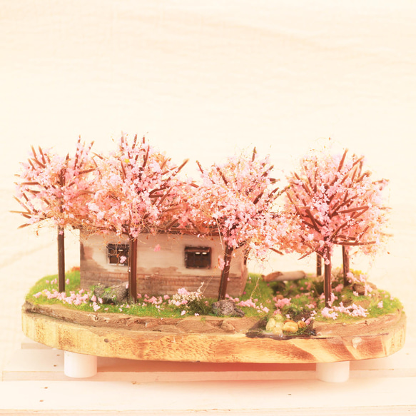 櫻花林與日式平房   沉浸藝術 / 燈飾 第5張的照片