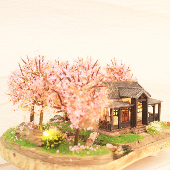 櫻花林與日式平房   沉浸藝術 / 燈飾 第11張的照片