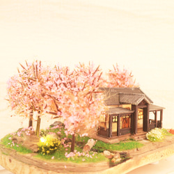 櫻花林與日式平房   沉浸藝術 / 燈飾 第10張的照片