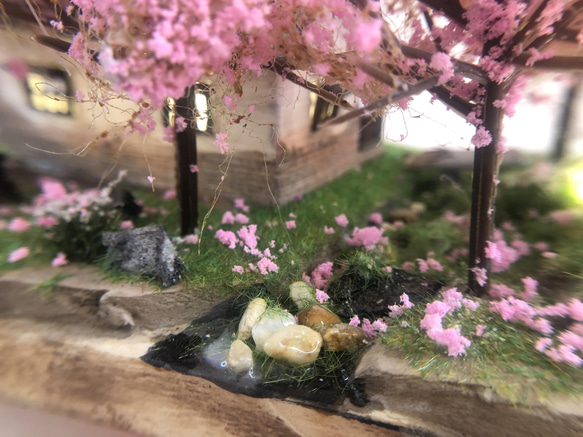 櫻花林與日式平房   沉浸藝術 / 燈飾 第17張的照片