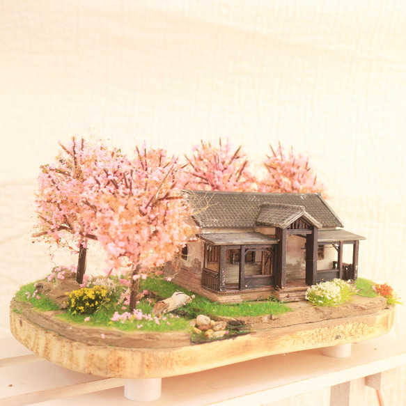 櫻花林與日式平房   沉浸藝術 / 燈飾 第2張的照片