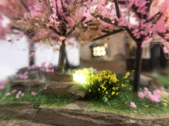 櫻花林與日式平房   沉浸藝術 / 燈飾 第18張的照片