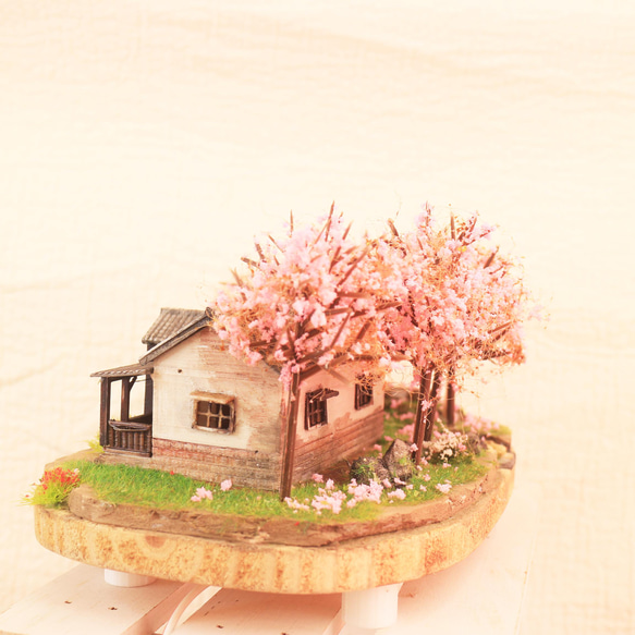 櫻花林與日式平房   沉浸藝術 / 燈飾 第4張的照片