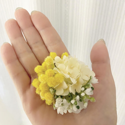 Mimosa Hand 2022 Palm Mimosa 2way Corsage 髮夾 Mimosa 第1張的照片