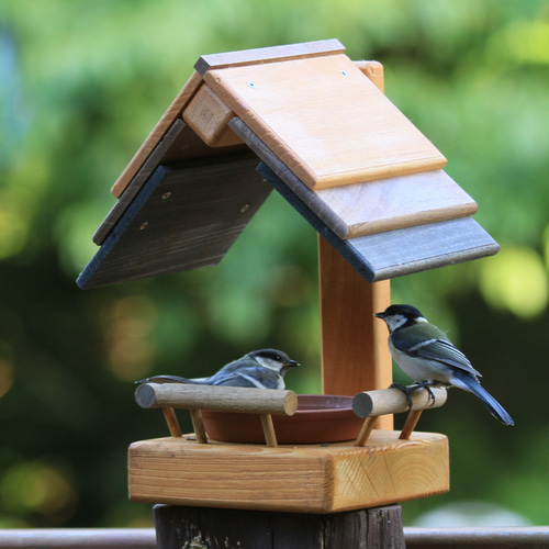 ことりのお食事処 バードカフェ バードフィーダー 2個セット 3色