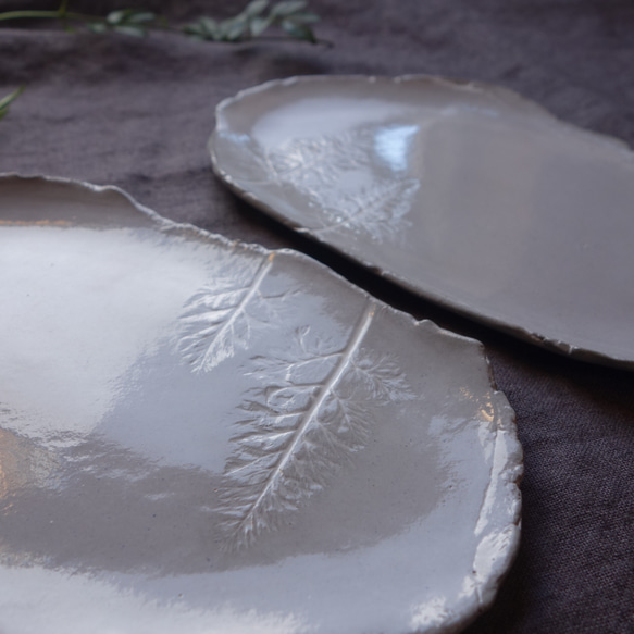 生植物皿　2本のツリーと星空プレート　デザート皿 フルーツ皿 アクセサリートレー 陶器  洋食器 ギフト陶磁器 7枚目の画像