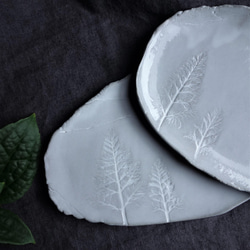 生植物皿　2本のツリーと星空プレート　デザート皿 フルーツ皿 アクセサリートレー 陶器  洋食器 ギフト陶磁器 6枚目の画像