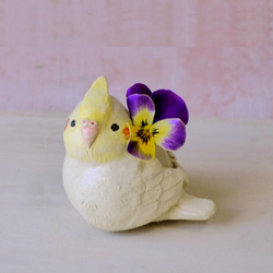 玄鳳鸚鵡單花瓶（陶鳥） 第1張的照片