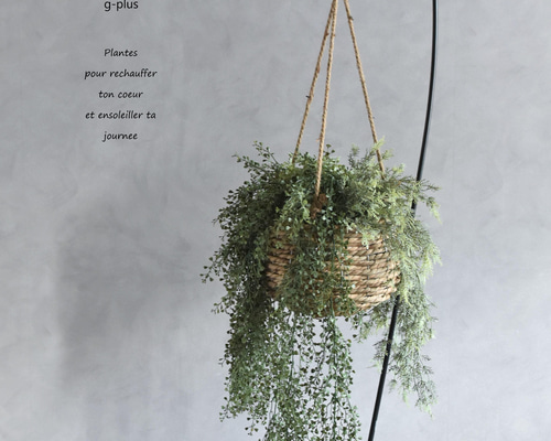 限定1点】大きい！ フェイクグリーンハンギング ツートングリーン