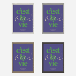 Ces't La Vie 紫 5枚目の画像