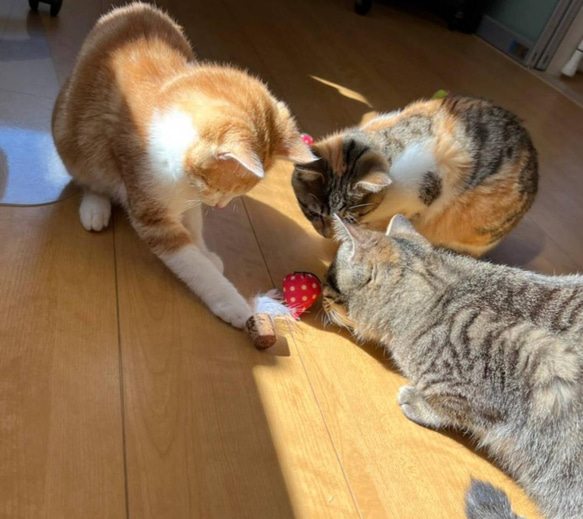 受注生産❣「ハナとネコ」考案(◠‿・)—☆猫夢中!!ワインのコルクで作った猫のおもちゃ　12個入　猫のおもちゃ 8枚目の画像