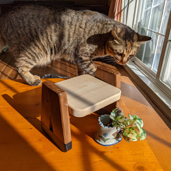 餌台　餌入れ　ペットテーブル　食卓　テーブル　猫　小型犬 10枚目の画像