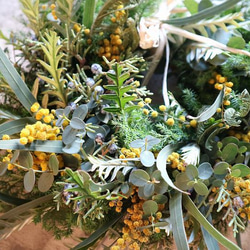 フレッシュグリーン＆ミモザのリース 4枚目の画像