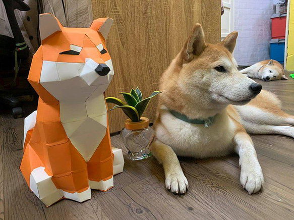 大型柴犬DIYペーパーモデル厚紙ペーパーカード 2枚目の画像