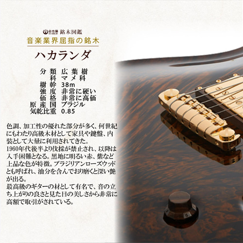 ハカランダ ブラジリアンローズウッド 木軸 シャープペン 0.5mm