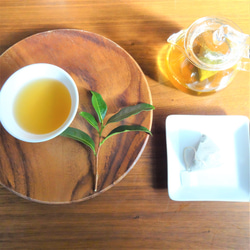 【送料無料】TeaBag浅炒りほうじ茶 緑茶の風味を残したこだわりほうじ茶【手炒りほうじ茶　琥珀】Mサイズ ３ｇ×２２コ 1枚目の画像