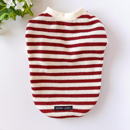 犬服・アクセサリー ateliergg Dog Selectshop Ange (@ange0256) • Instagram photos and videos