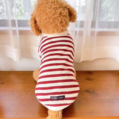 犬服・アクセサリー ateliergg 楽天市場】クマさんぬいぐるみ付きコットンガーゼベスト 犬服