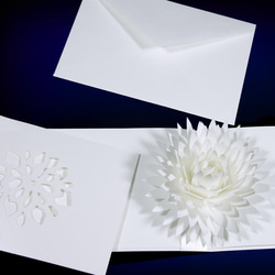 Blooming flower pop-up message card<Dahlia> 第4張的照片