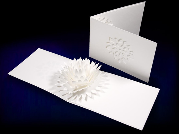 花のポップアップグリーティングカード〈ダリア〉　forバースデー・ウェディング・母の日・クリスマス・アニバーサリー 1枚目の画像