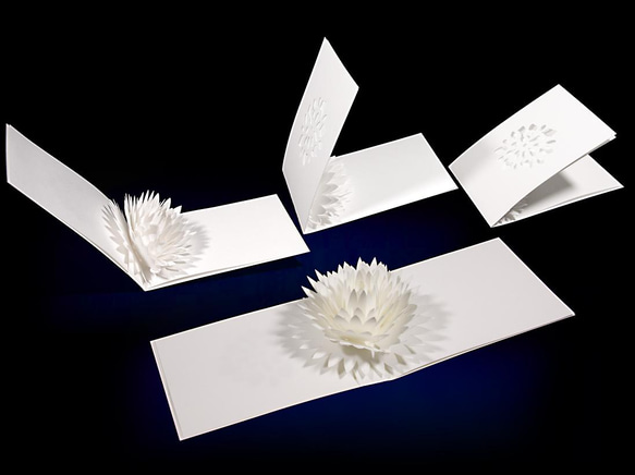 Blooming flower pop-up message card<Dahlia> 第2張的照片