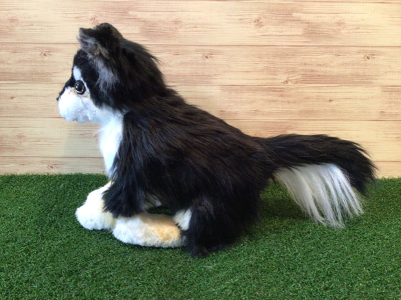 〈受注製作〉愛犬ちゃんオーダーメイド品(チワワ25センチ)縫いぐるみ 4枚目の画像