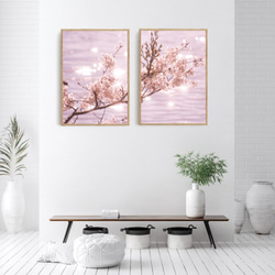 桜のフォトポスター　/ p0065 / 2枚並べて一つの風景に。家でお花見を。　/ インテリアポスター 3枚目の画像