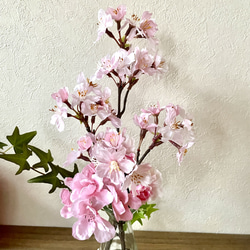 『Creema限定母の日2026』3種の桜L.S2点セット ギフト 春の福袋 ラッピング無料！マジカルウォーター 13枚目の画像