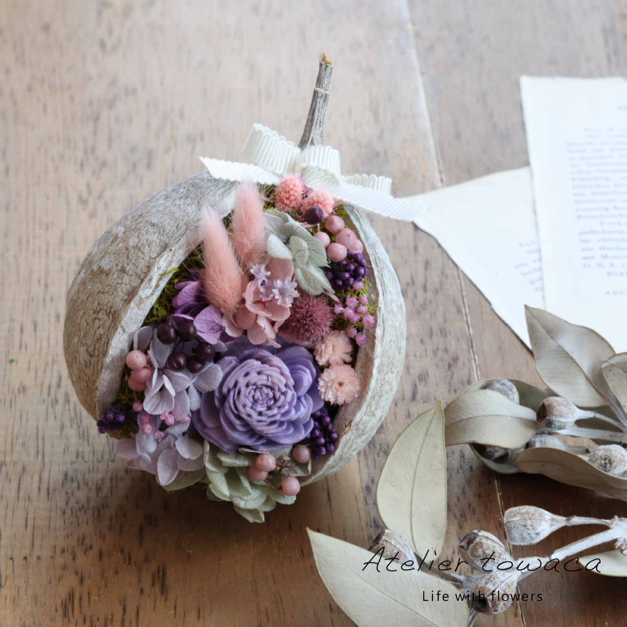 木の実❣️ベルガムナッツ❇️ドライフラワー 楽天市場】ベルガムナッツの通販