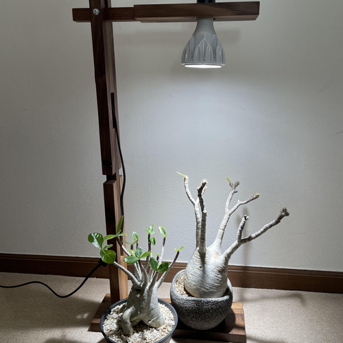 NEWアマテラス植物育成スポットライト（10W LED付） その他
