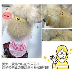 犬の日2023 お名前ベルト　刺繍名入れ首輪　ベルト XSサイズ/Sサイズ【送料無料】 9枚目の画像